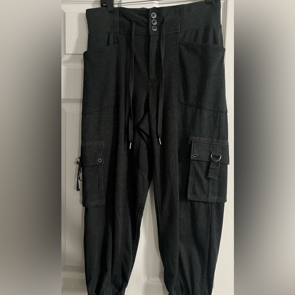 NWOT Free People pants